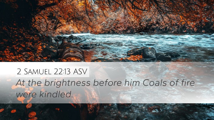 2 Samuel 22:13 ASV Bible Verse Image
