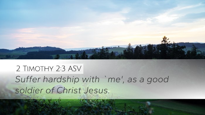 2 Timothy 2:3 ASV Bible Verse Image