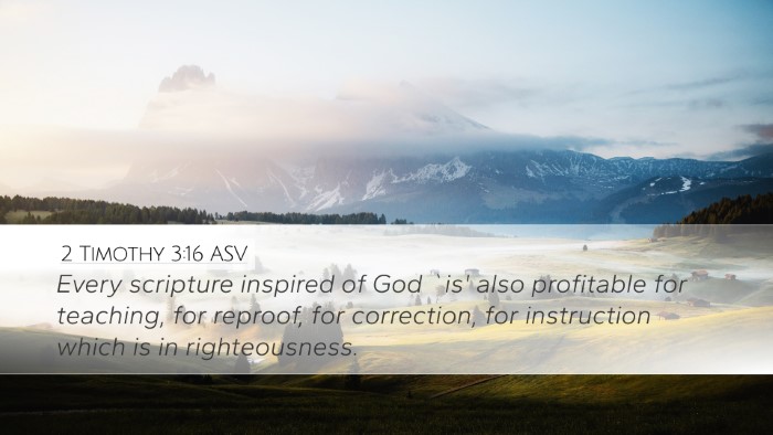 2 Timothy 3:16 ASV Bible Verse Image