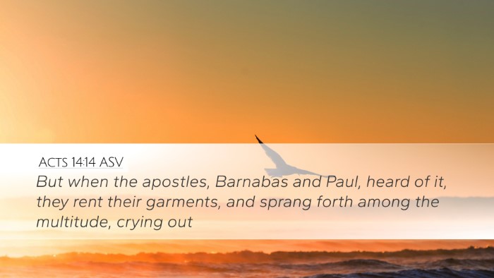 Acts 14:14 ASV Bible Verse Image