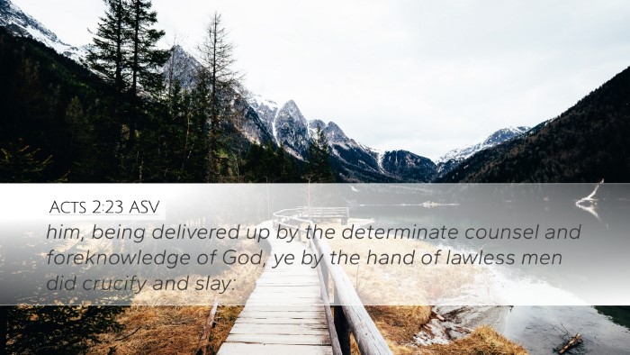 Acts 2:23 ASV Bible Verse Image