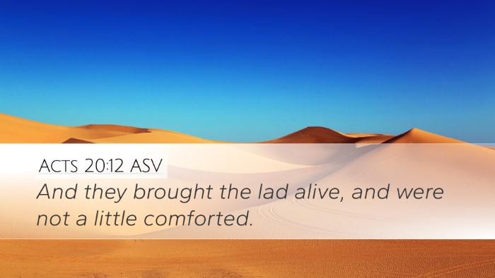 Acts 20:12 ASV Bible Verse Image