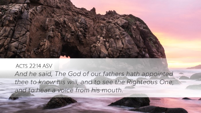 Acts 22:14 ASV Bible Verse Image