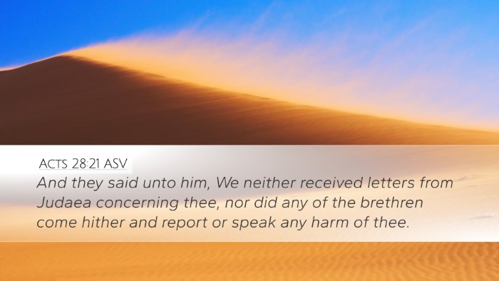Acts 28:21 ASV Bible Verse Image