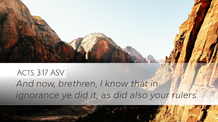 Acts 3:17 ASV Bible Verse Image