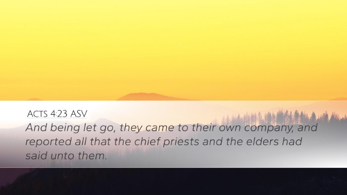 Acts 4:23 ASV Bible Verse Image