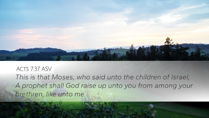 Acts 7:37 ASV Bible Verse Image