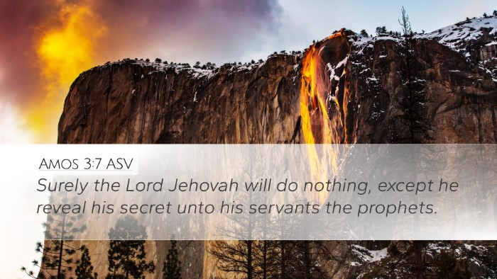 Amos 3:7 ASV Bible Verse Image