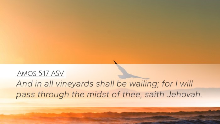 Amos 5:17 ASV Bible Verse Image