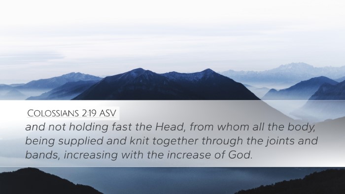 Colossians 2:19 ASV Bible Verse Image