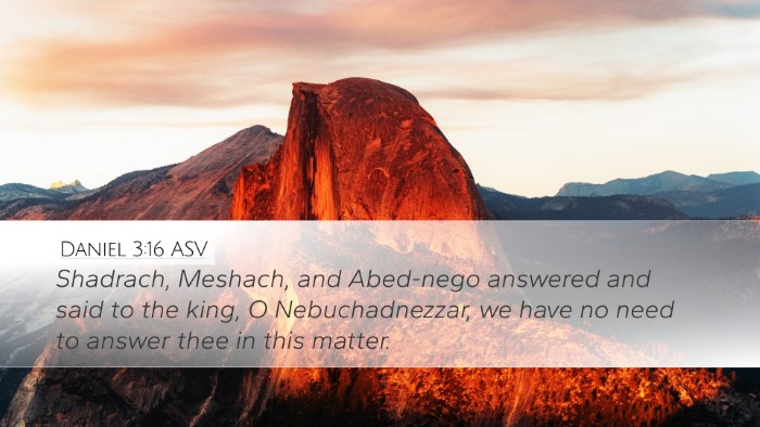 Daniel 3:16 ASV Bible Verse Image