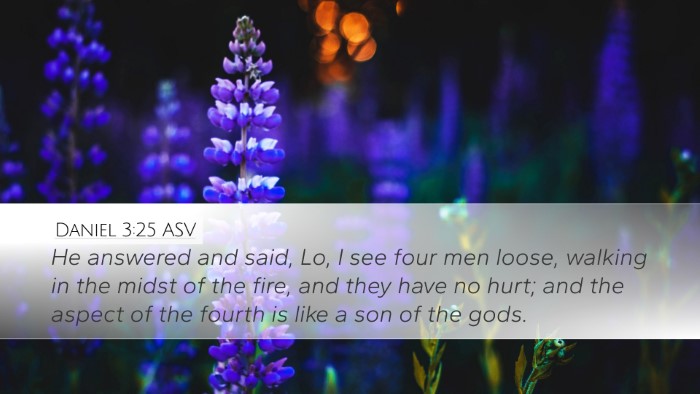 Daniel 3:25 ASV Bible Verse Image