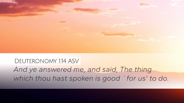 Deuteronomy 1:14 ASV Desktop Wallpaper - And ye answered me, and said, The thing which - Desktop Bible Verse Wallpaper