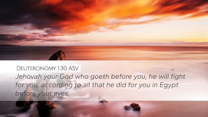 Deuteronomy 1:30 ASV Bible Verse Image