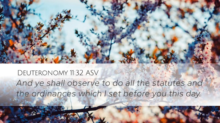 Deuteronomy 11:32 ASV Bible Verse Image