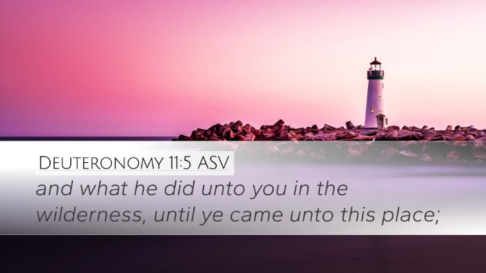 Deuteronomy 11:5 ASV Desktop Wallpaper - and what he did unto you in the wilderness, until - Desktop Bible Verse Wallpaper