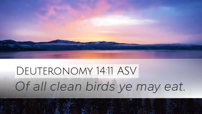 Deuteronomy 14:11 ASV Desktop Wallpaper - Of all clean birds ye may - Desktop Bible Verse Wallpaper