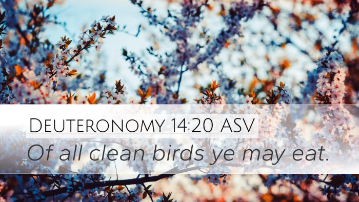 Deuteronomy 14:20 ASV Desktop Wallpaper - Of all clean birds ye may - Desktop Bible Verse Wallpaper