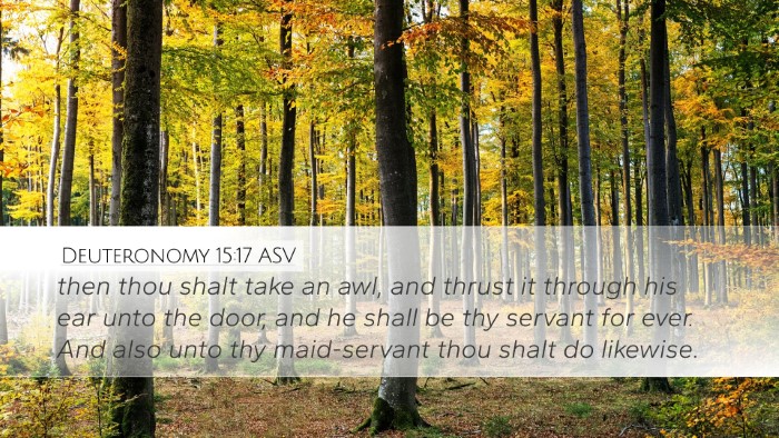 Deuteronomy 15:17 ASV Desktop Wallpaper - then thou shalt take an awl, and thrust it - Desktop Bible Verse Wallpaper