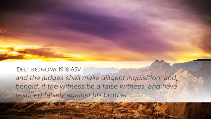Deuteronomy 19:18 ASV Bible Verse Image