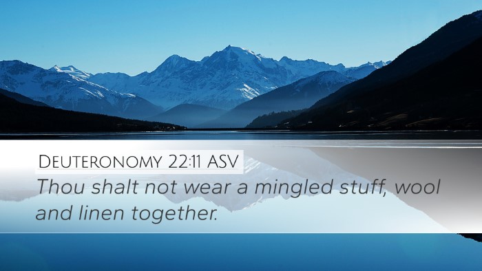 Deuteronomy 22:11 ASV Desktop Wallpaper - Thou shalt not wear a mingled stuff, wool and - Desktop Bible Verse Wallpaper