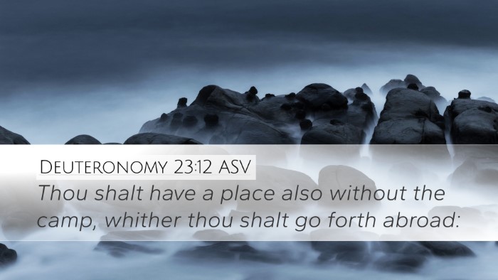 Deuteronomy 23:12 ASV Desktop Wallpaper - Thou shalt have a place also without the camp, - Desktop Bible Verse Wallpaper
