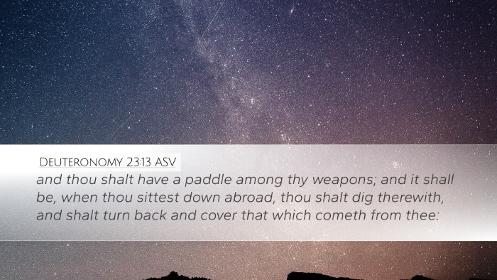 Deuteronomy 23:13 ASV Desktop Wallpaper - and thou shalt have a paddle among thy weapons; - Desktop Bible Verse Wallpaper
