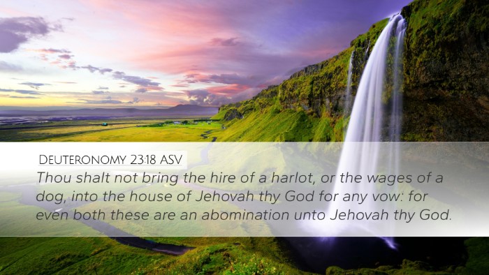 Deuteronomy 23:18 ASV Bible Verse Image