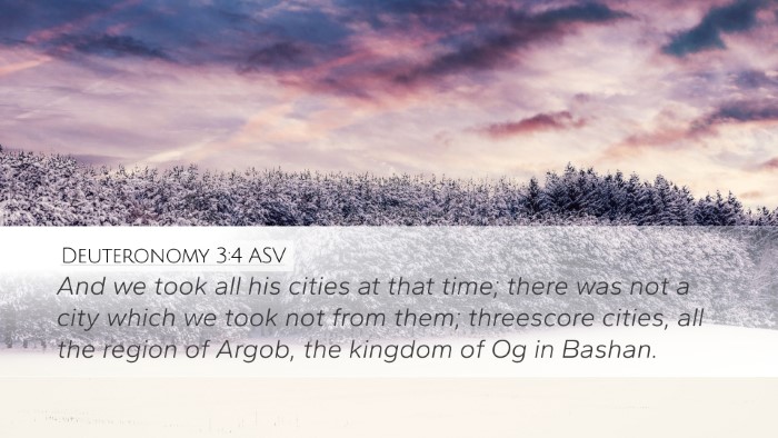 Deuteronomy 3:4 ASV Bible Verse Image