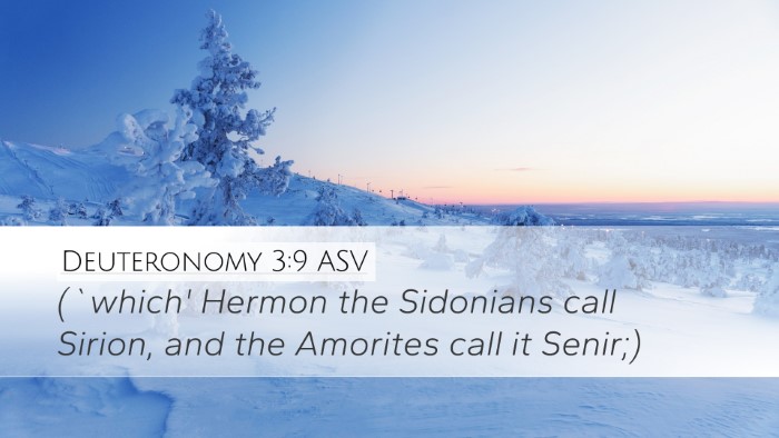 Deuteronomy 3:9 ASV Desktop Wallpaper - (`which' Hermon the Sidonians call Sirion, and - Desktop Bible Verse Wallpaper