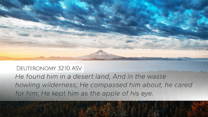 Deuteronomy 32:10 ASV Bible Verse Image