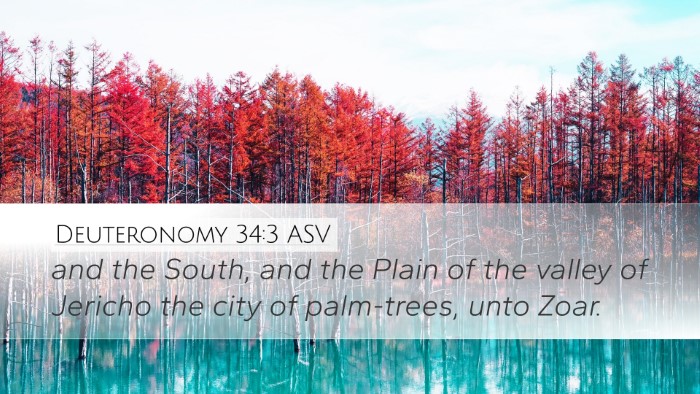 Deuteronomy 34:3 ASV Bible Verse Image