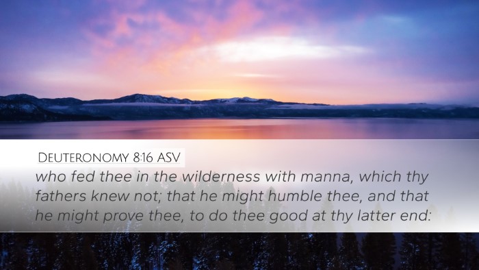 Deuteronomy 8:16 ASV Bible Verse Image