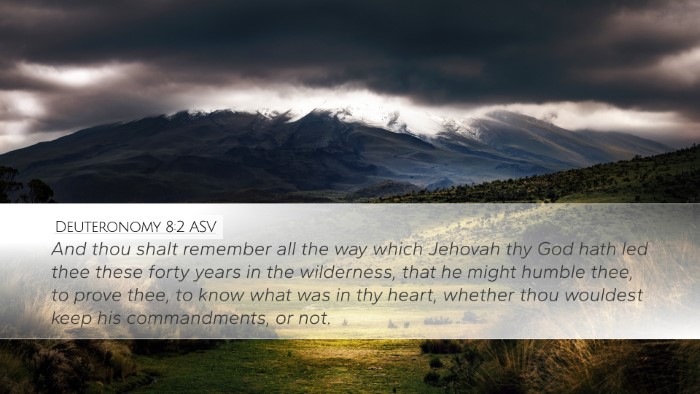Deuteronomy 8:2 ASV Bible Verse Image