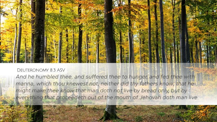 Deuteronomy 8:3 ASV Bible Verse Image