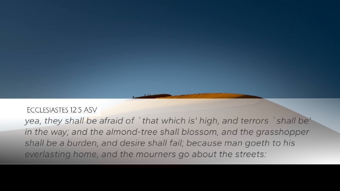 Ecclesiastes 12:5 ASV Bible Verse Image