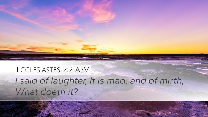 Ecclesiastes 2:2 ASV Bible Verse Image