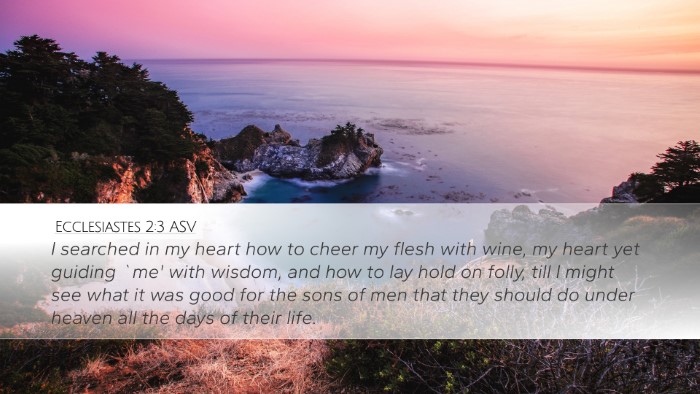 Ecclesiastes 2:3 ASV Bible Verse Image