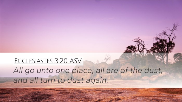 Ecclesiastes 3:20 ASV Bible Verse Image