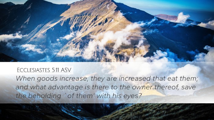 Ecclesiastes 5:11 ASV Bible Verse Image