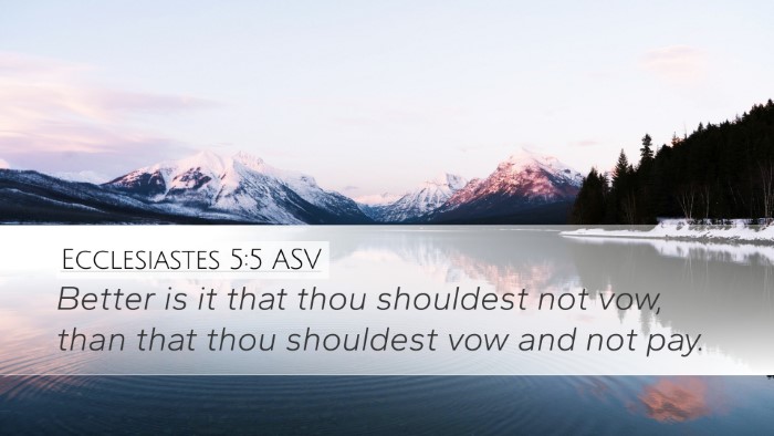 Ecclesiastes 5:5 ASV Bible Verse Image