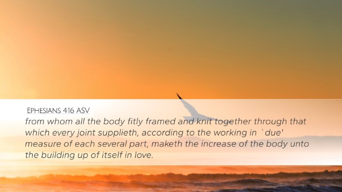 Ephesians 4:16 ASV Bible Verse Image