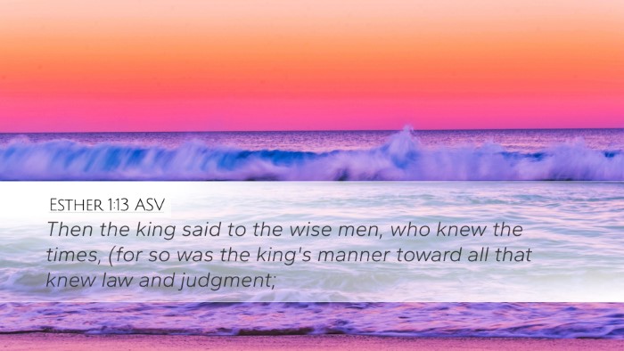 Esther 1:13 ASV Bible Verse Image
