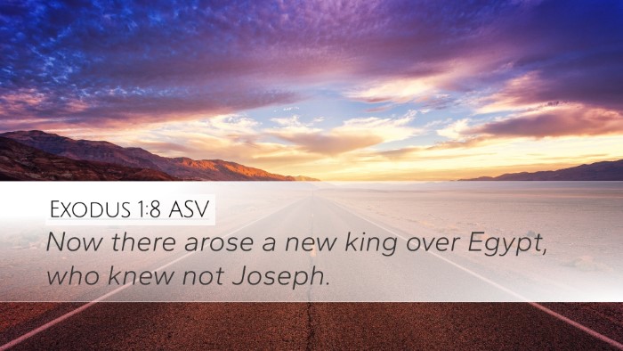 Exodus 1:8 ASV Bible Verse Image