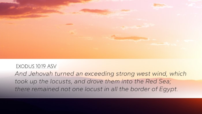 Exodus 10:19 ASV Desktop Wallpaper - And Jehovah turned an exceeding strong west wind, - Desktop Bible Verse Wallpaper