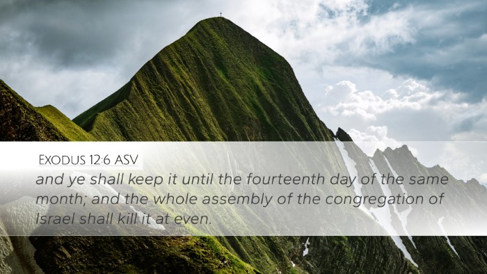 Exodus 12:6 ASV Bible Verse Image