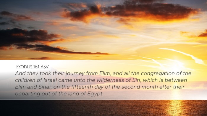 Exodus 16:1 ASV Bible Verse Image