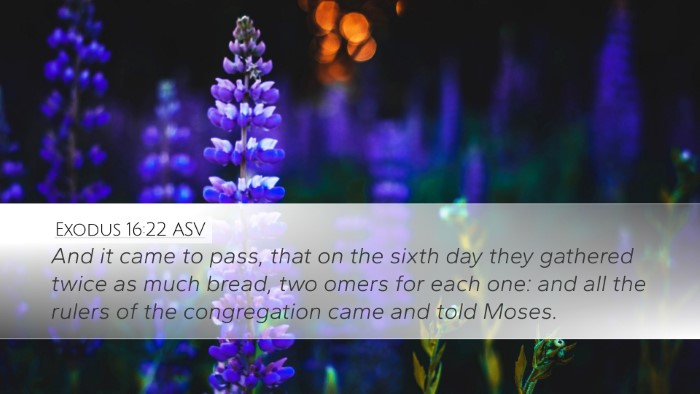 Exodus 16:22 ASV Bible Verse Image