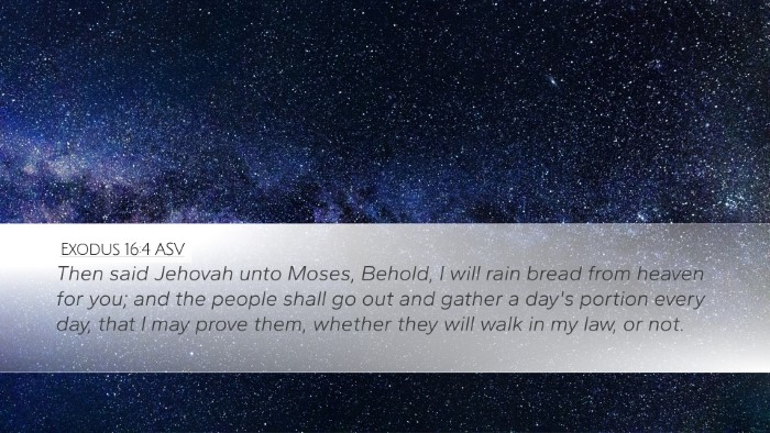 Exodus 16:4 ASV Bible Verse Image