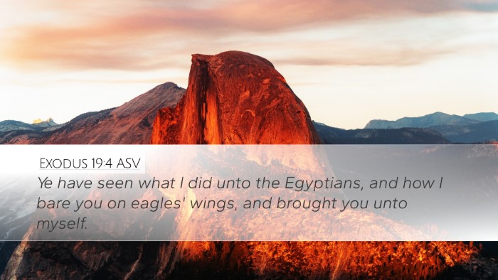 Exodus 19:4 ASV Bible Verse Image